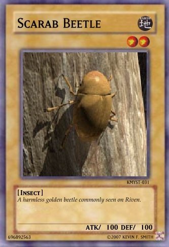 KMYST-031.jpg