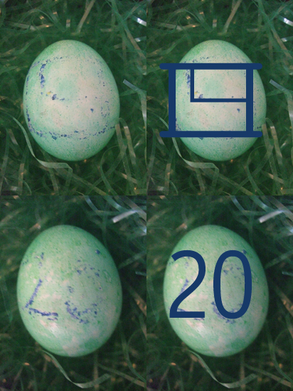 20egg.jpg